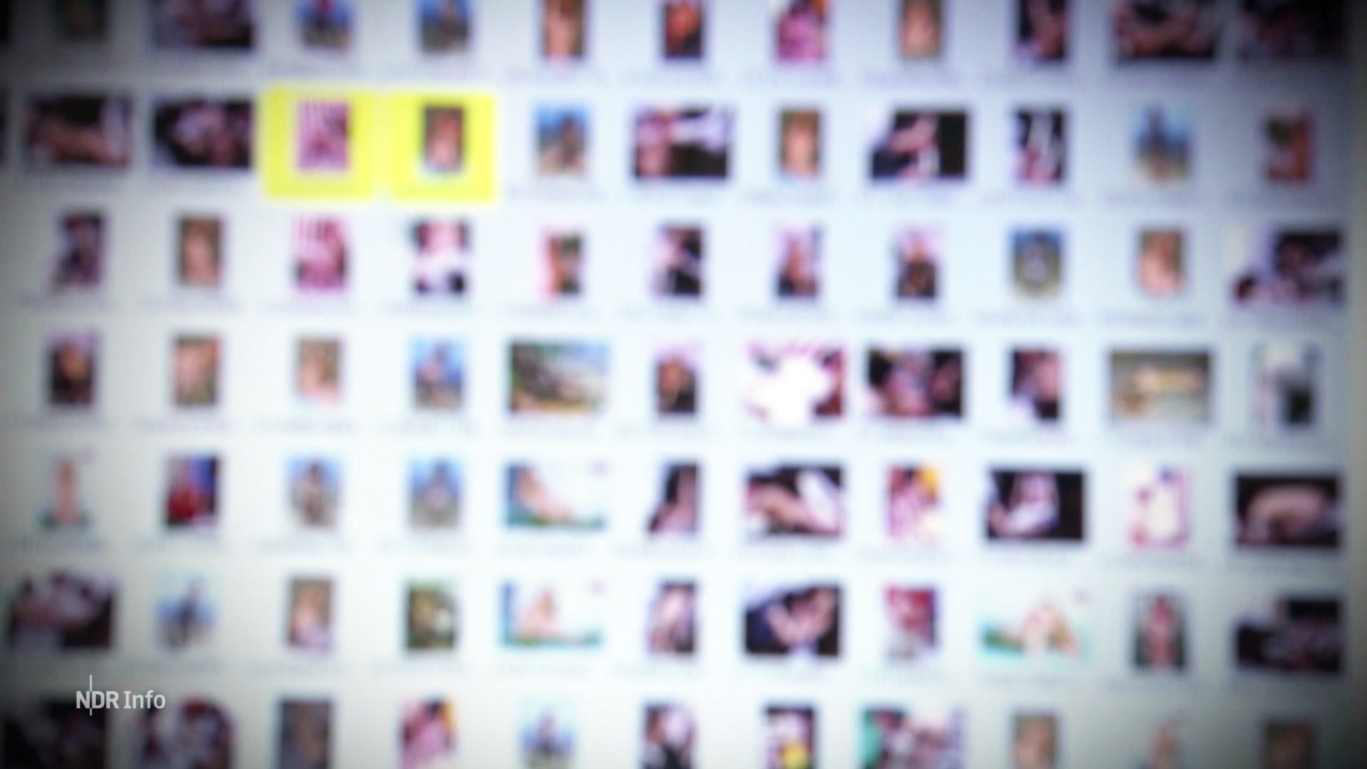 Auf einem Monitor sind verpixelte Bilder zu sehen. © Screenshot 