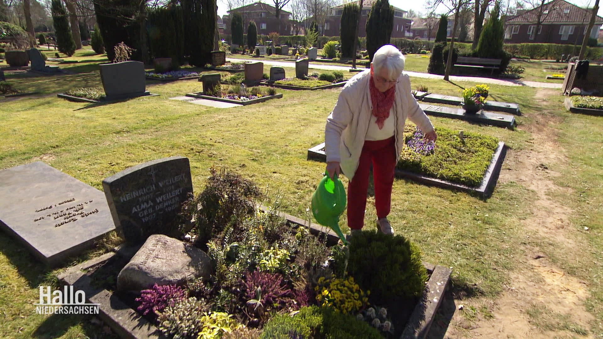 Witwe Bärbel Weilert bei der Grabpflege auf dem Oldenburger Friedhof. © Screenshot 
