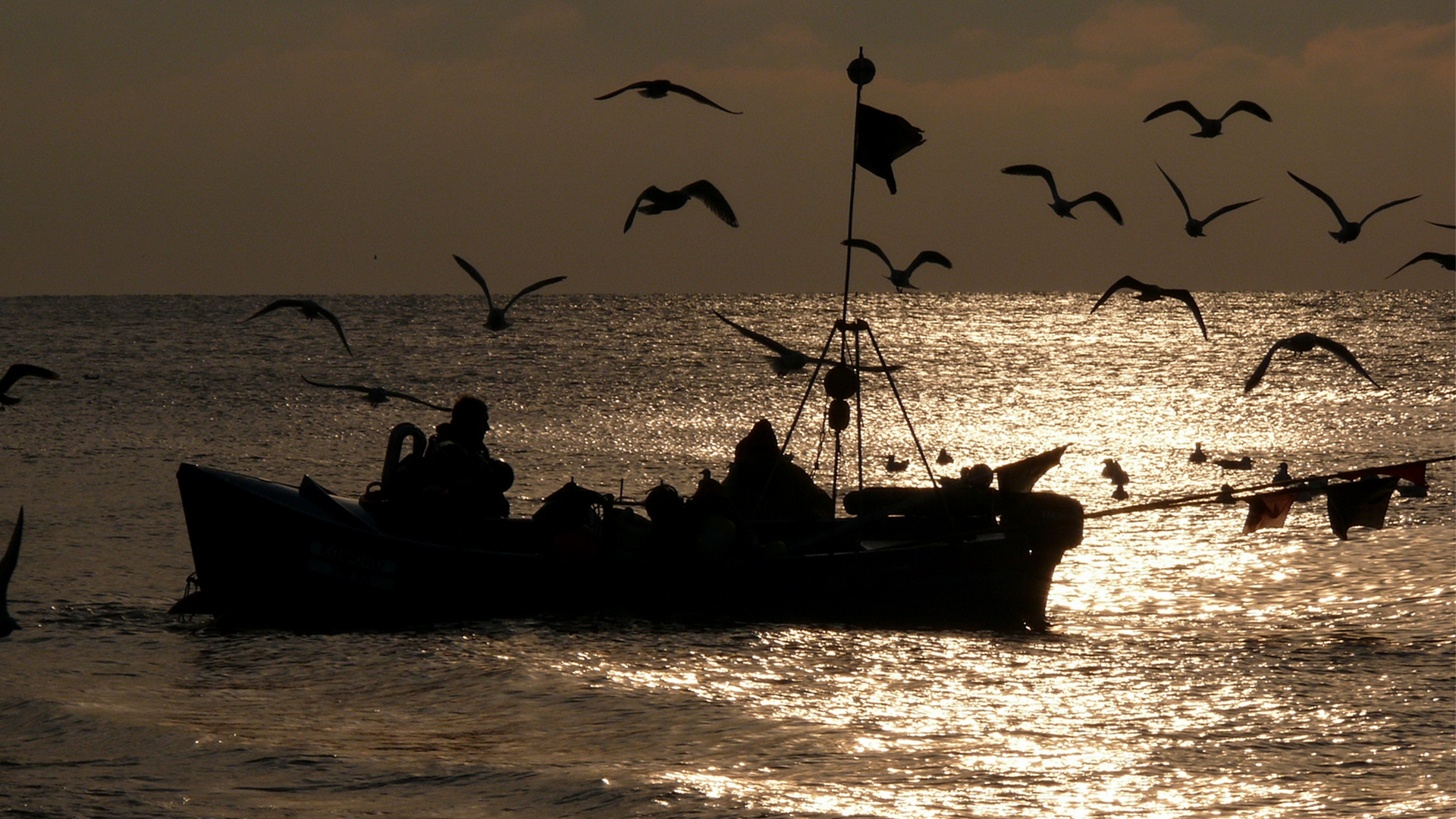 Ein Fischerboot in der Abenddämmerung an der holländischen Nordseeküste. © NDR Foto: Knut Bergmann