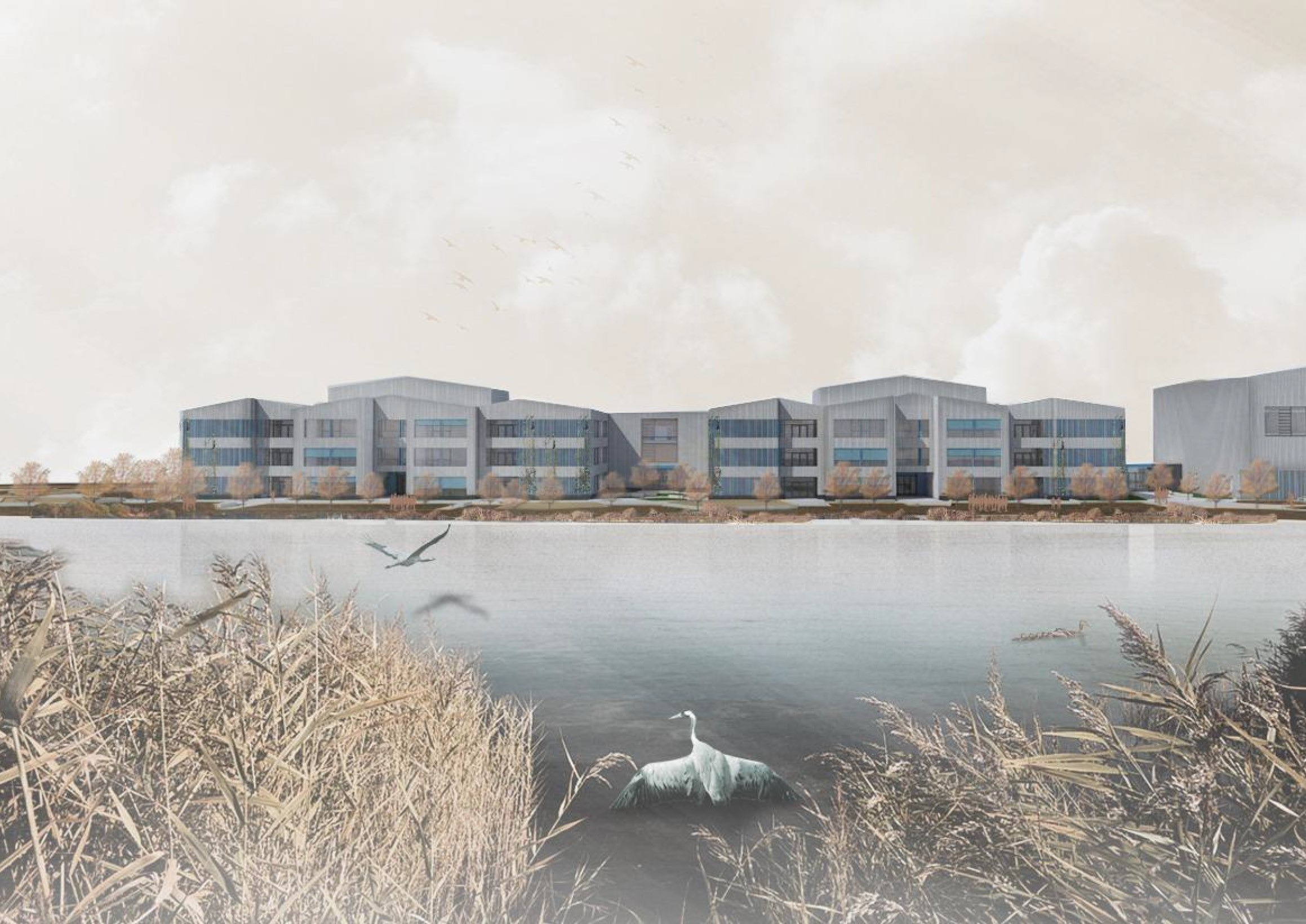 Das neue Inklusive Schulzentrum am Ellernholzteich in Greifswald. Das neue Inklusive Schulzentrum am Ellernholzteich in Greifswald. © Universitäts- und Hansestadt Greifswald