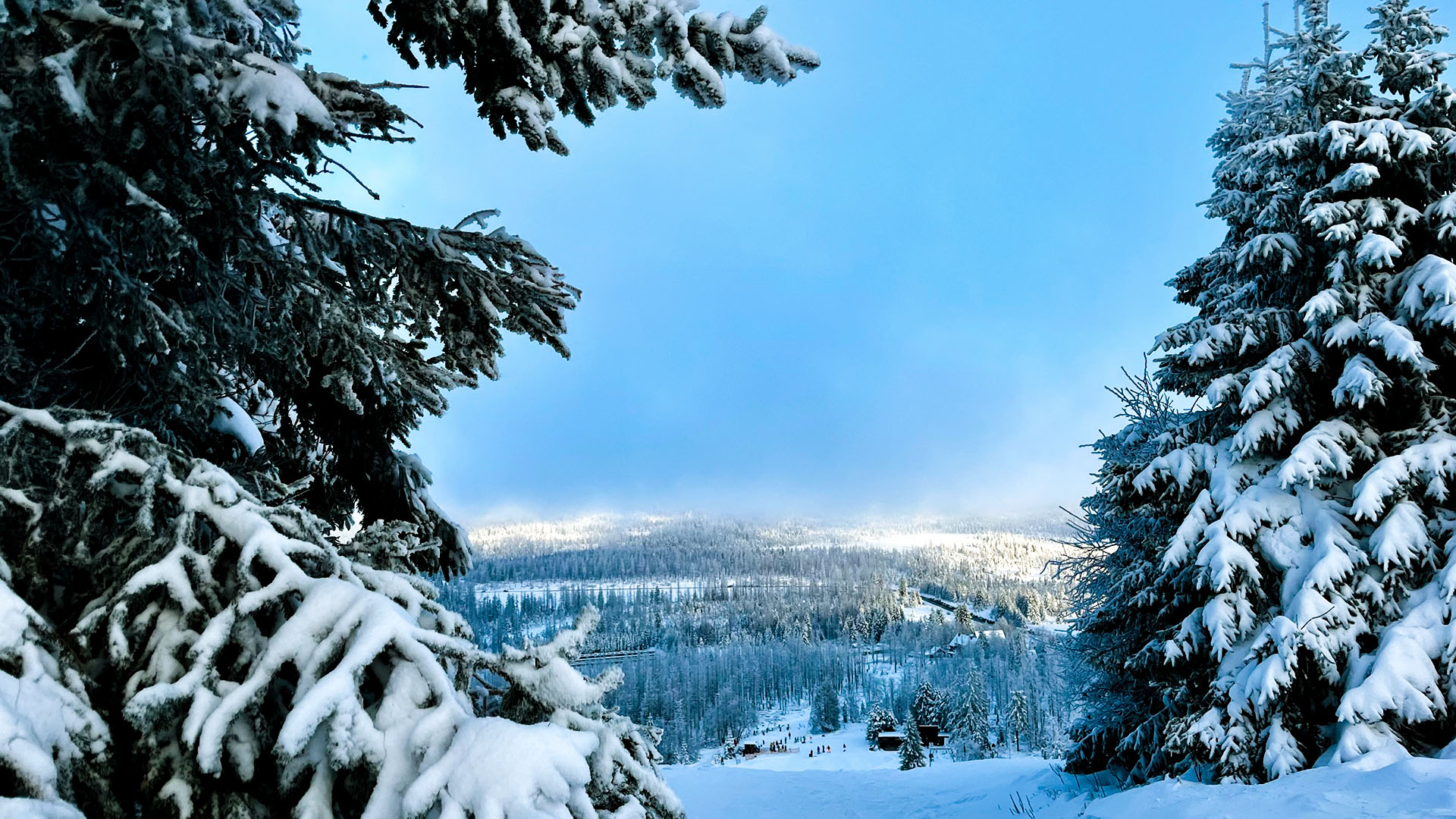 Schnee auf dem Sonnenberg im Harz. © NDR Foto: Christina Herz