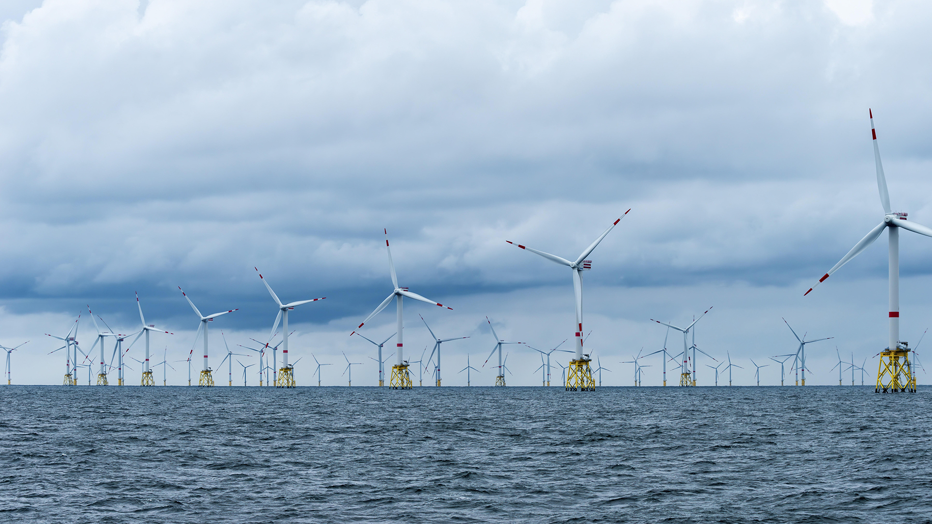Ein Offshore-Windpark in der Nordsee © picture alliance / imageBROKER/Wolfgang Diederich Foto: imageBROKER/Wolfgang Diederich