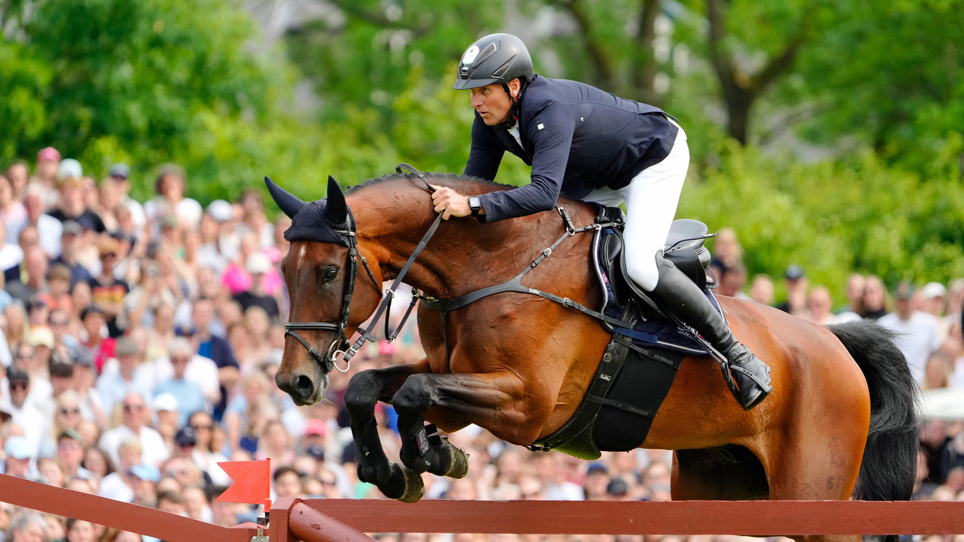 Andre Thieme auf Paule S © Witters Foto: Frank Peters