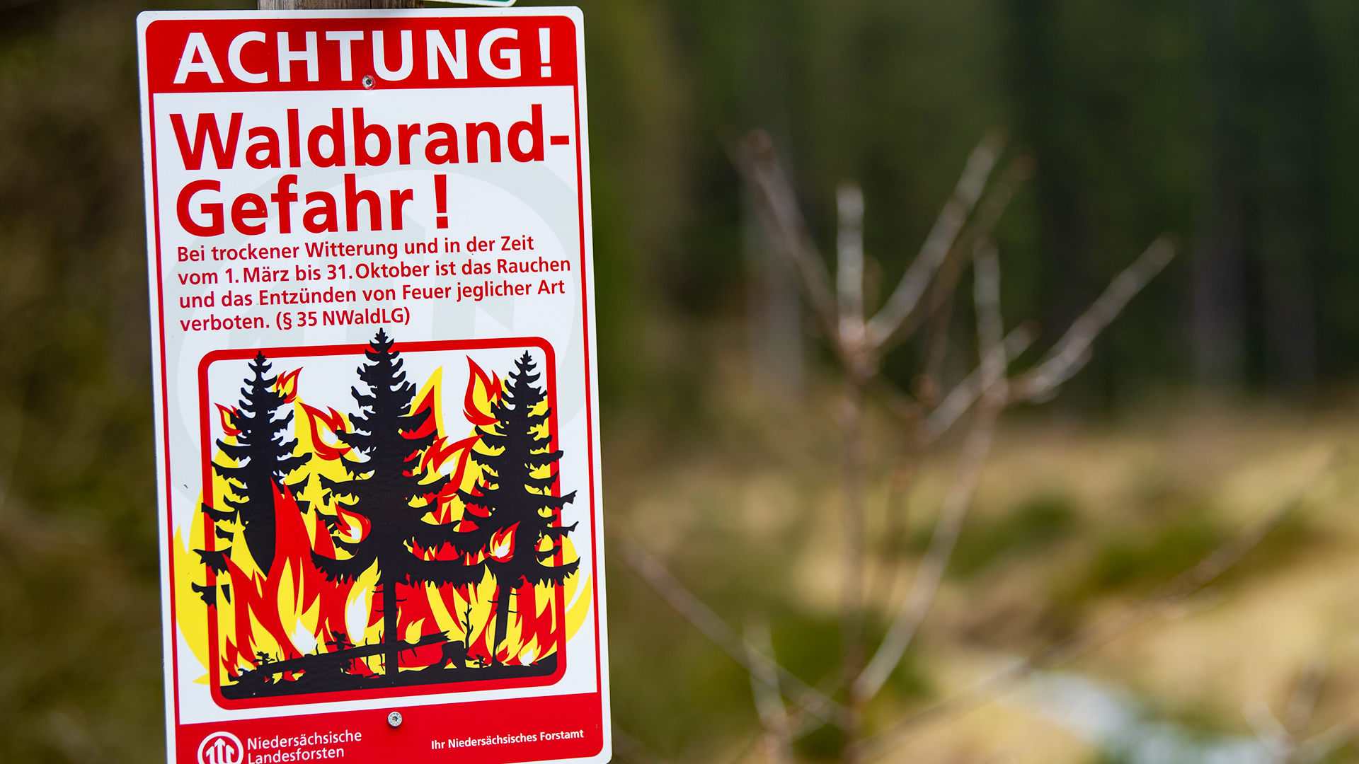 Ein Warnschild, das auf erhöhte Waldbrandgefahr aufmerksam macht © picture alliance Foto: Swen Pförtner